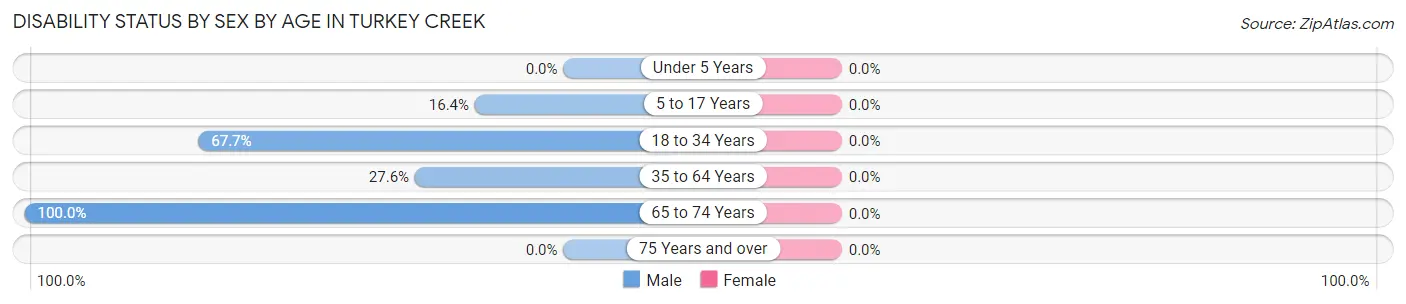Disability Status by Sex by Age in Turkey Creek
