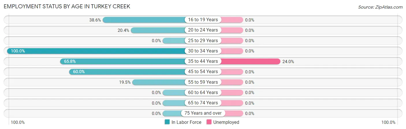 Employment Status by Age in Turkey Creek