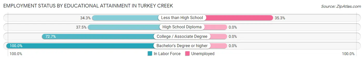 Employment Status by Educational Attainment in Turkey Creek