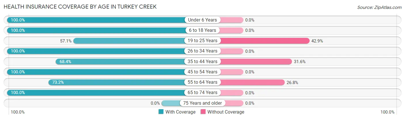 Health Insurance Coverage by Age in Turkey Creek
