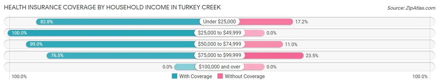 Health Insurance Coverage by Household Income in Turkey Creek