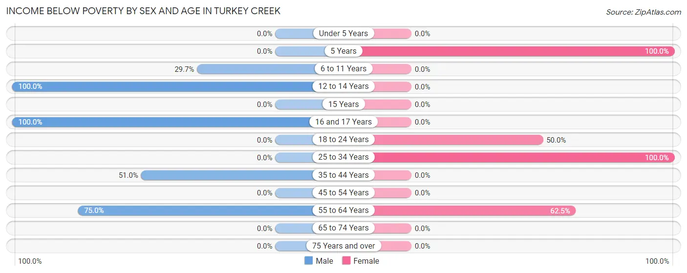 Income Below Poverty by Sex and Age in Turkey Creek