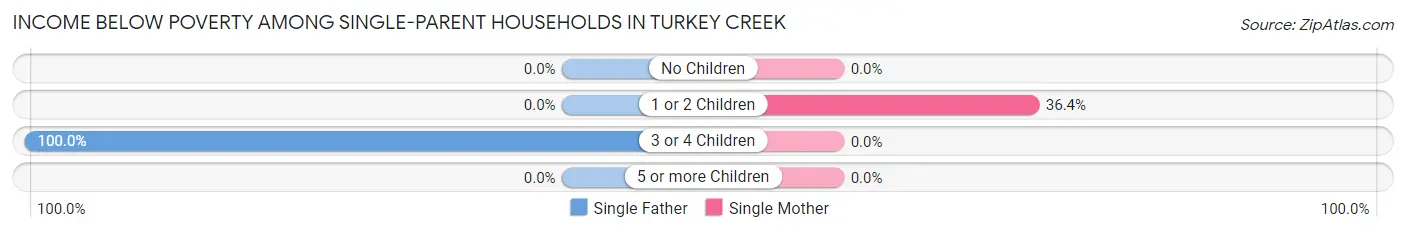 Income Below Poverty Among Single-Parent Households in Turkey Creek