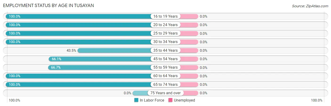 Employment Status by Age in Tusayan