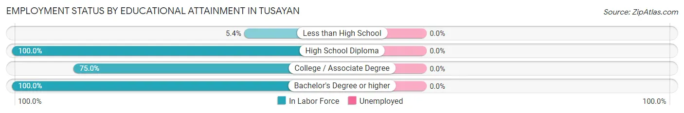 Employment Status by Educational Attainment in Tusayan