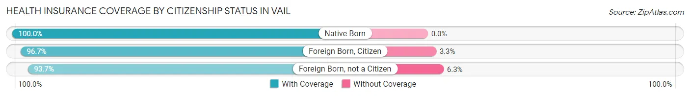 Health Insurance Coverage by Citizenship Status in Vail