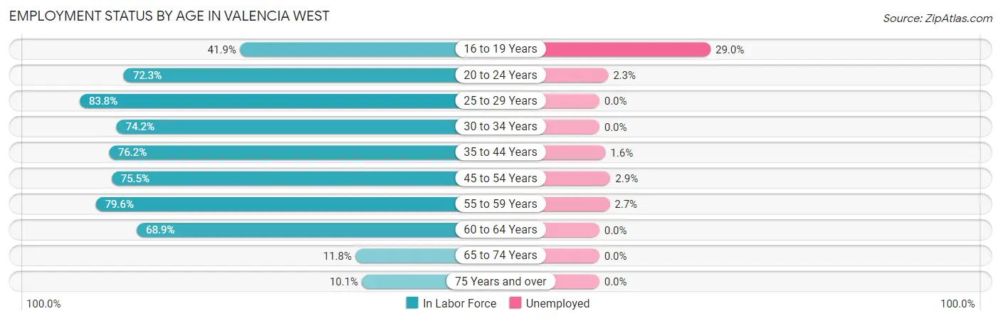 Employment Status by Age in Valencia West