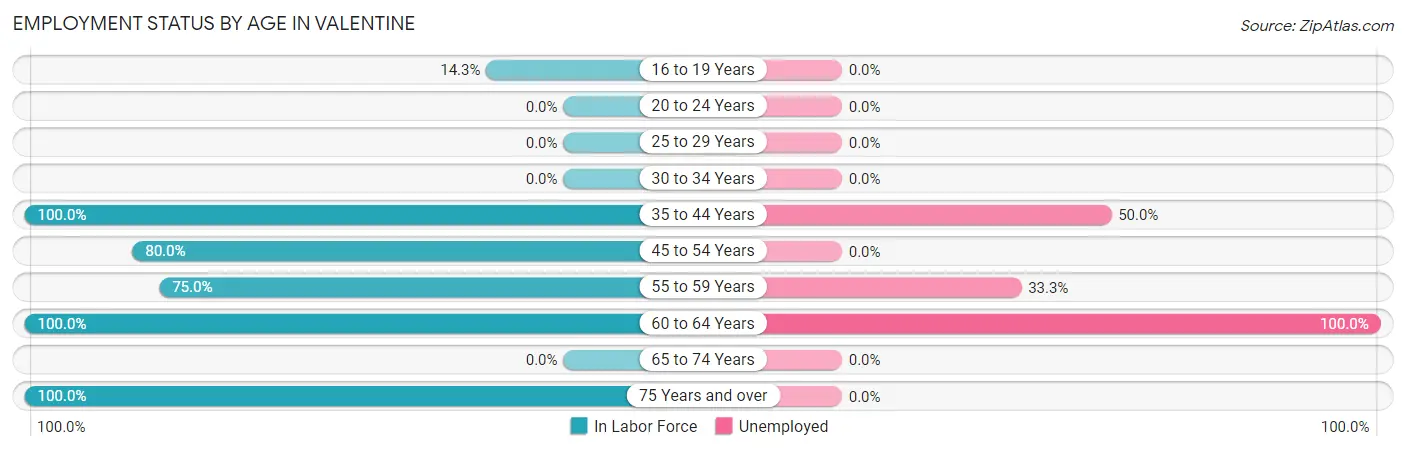 Employment Status by Age in Valentine