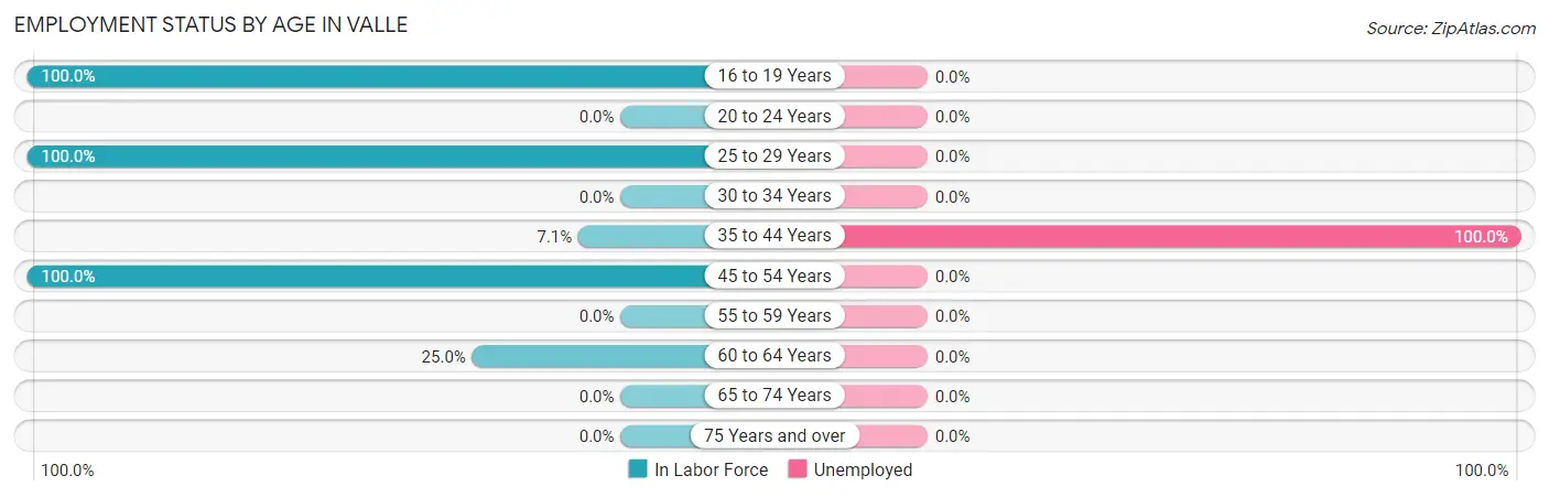 Employment Status by Age in Valle