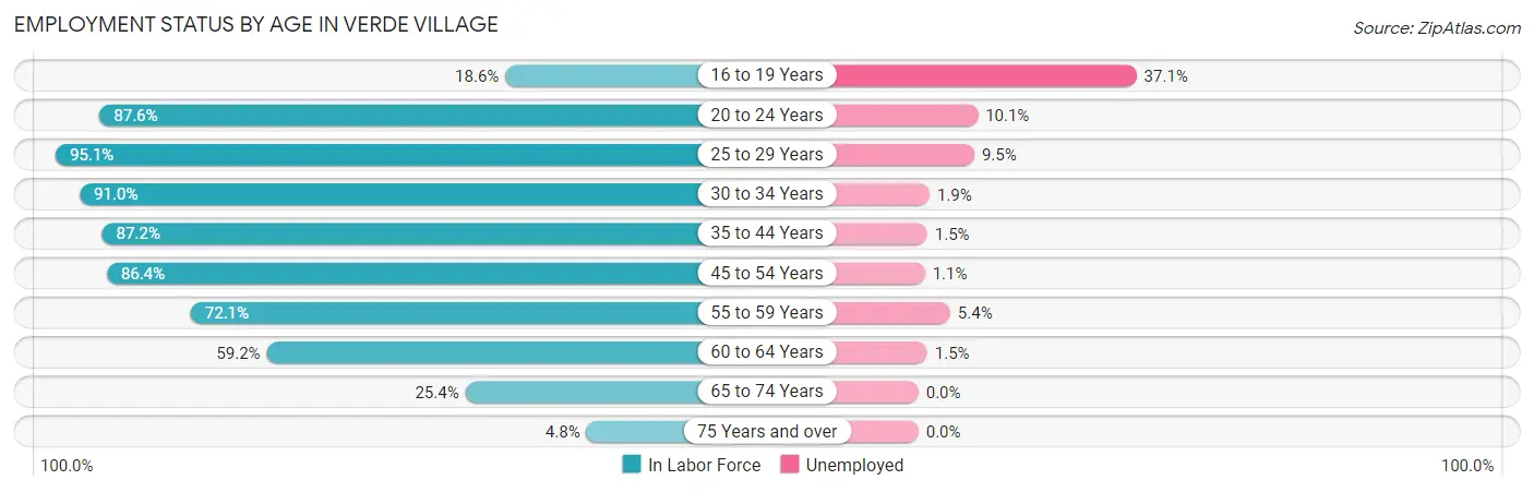 Employment Status by Age in Verde Village