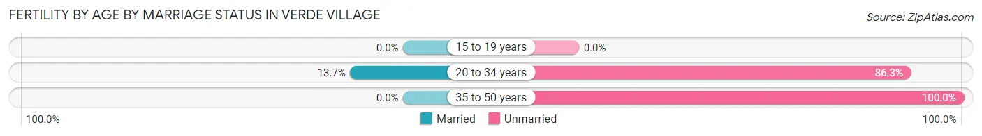 Female Fertility by Age by Marriage Status in Verde Village