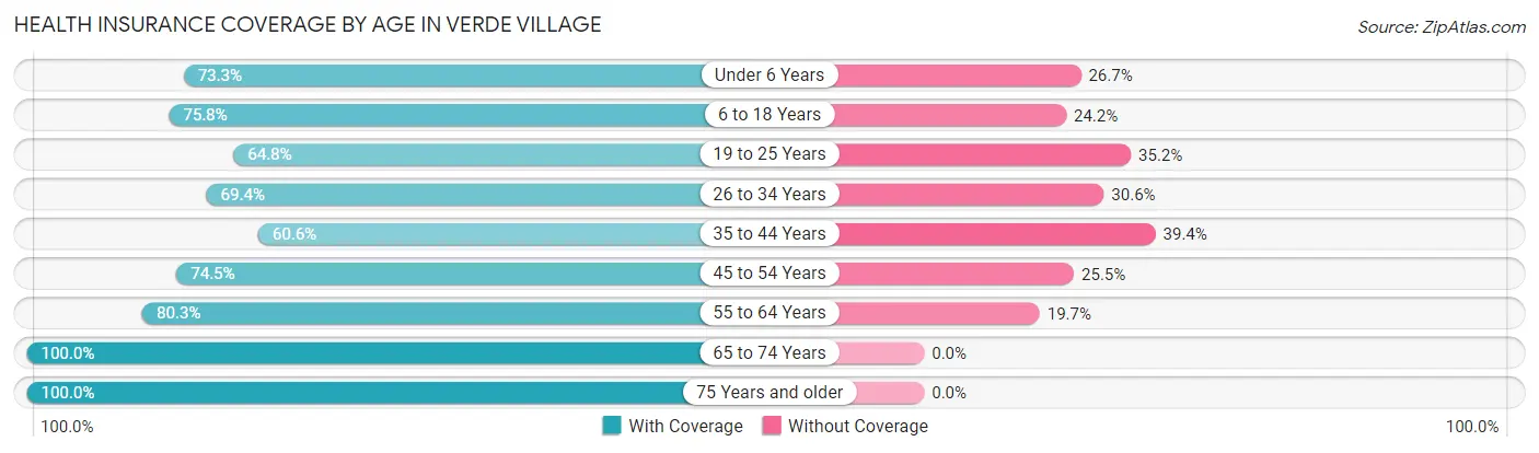 Health Insurance Coverage by Age in Verde Village