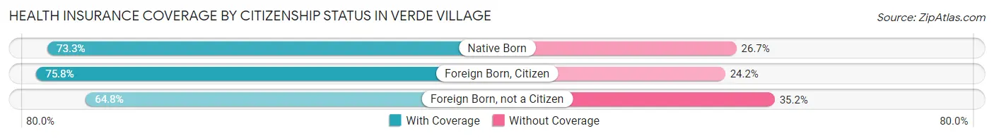 Health Insurance Coverage by Citizenship Status in Verde Village