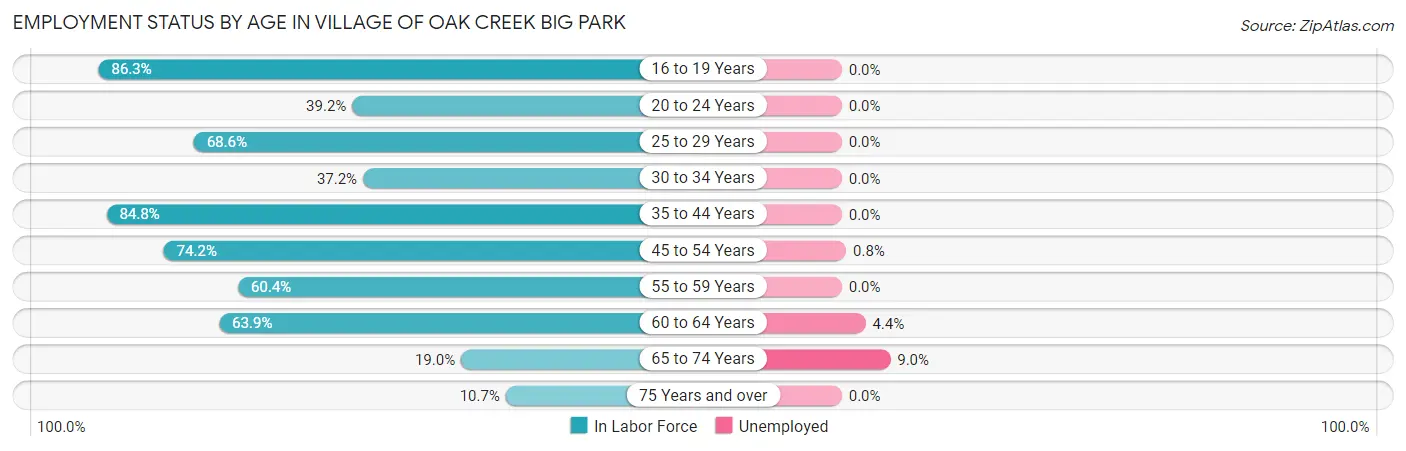 Employment Status by Age in Village of Oak Creek Big Park