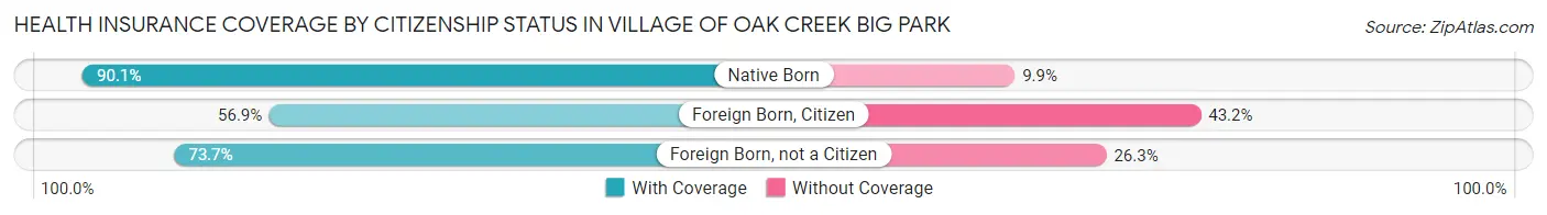 Health Insurance Coverage by Citizenship Status in Village of Oak Creek Big Park
