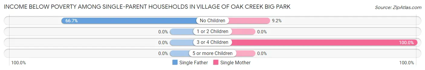 Income Below Poverty Among Single-Parent Households in Village of Oak Creek Big Park