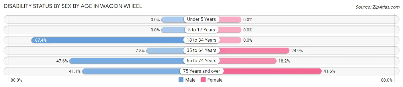 Disability Status by Sex by Age in Wagon Wheel