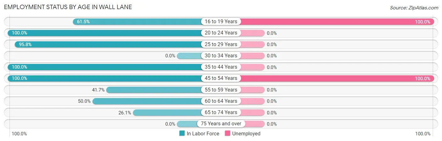Employment Status by Age in Wall Lane