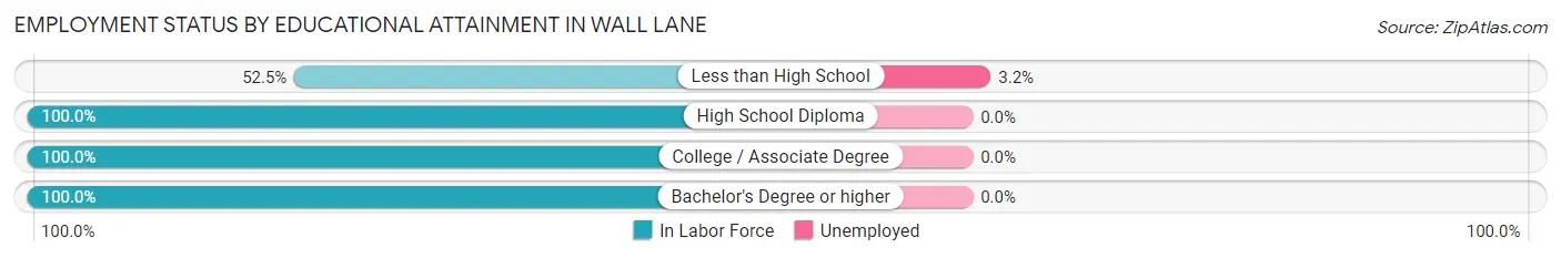 Employment Status by Educational Attainment in Wall Lane