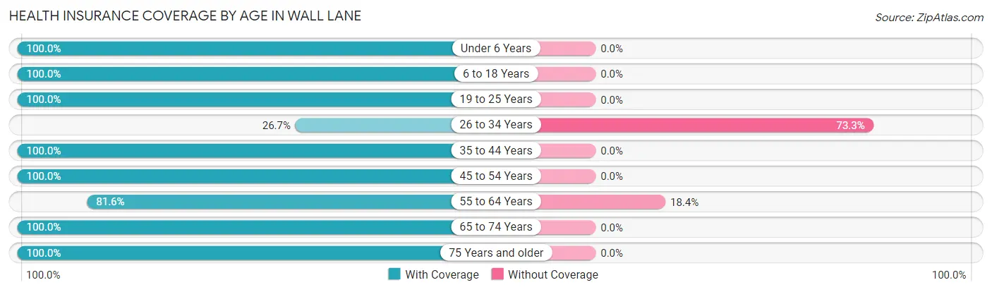 Health Insurance Coverage by Age in Wall Lane