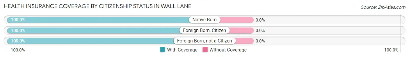 Health Insurance Coverage by Citizenship Status in Wall Lane