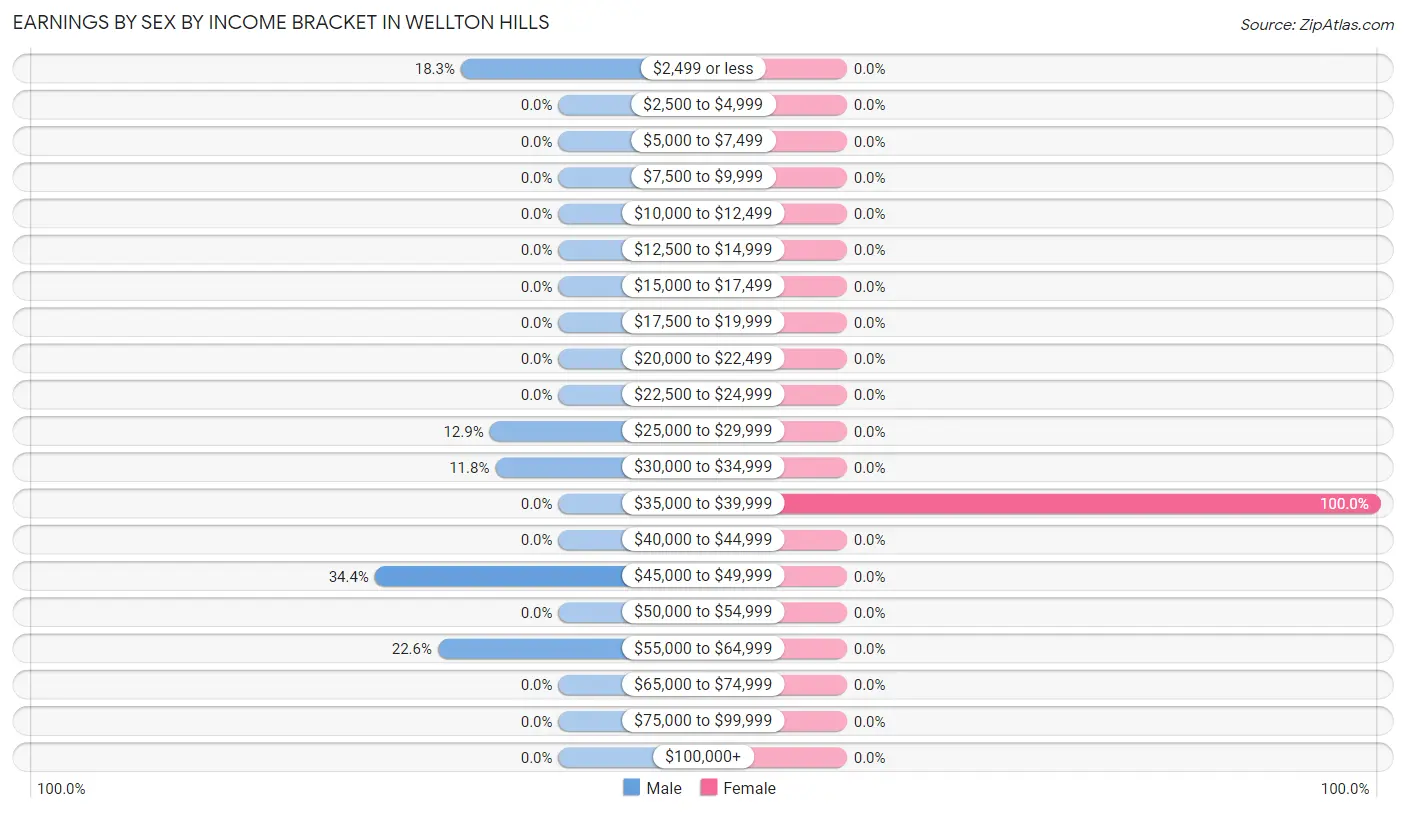 Earnings by Sex by Income Bracket in Wellton Hills