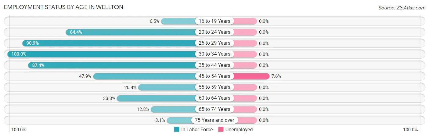 Employment Status by Age in Wellton