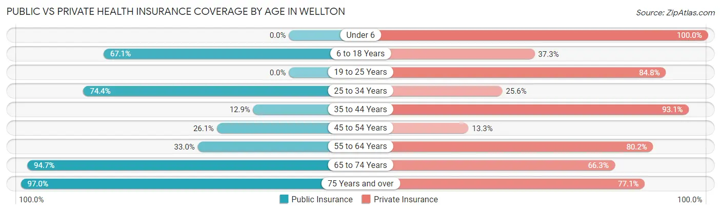 Public vs Private Health Insurance Coverage by Age in Wellton