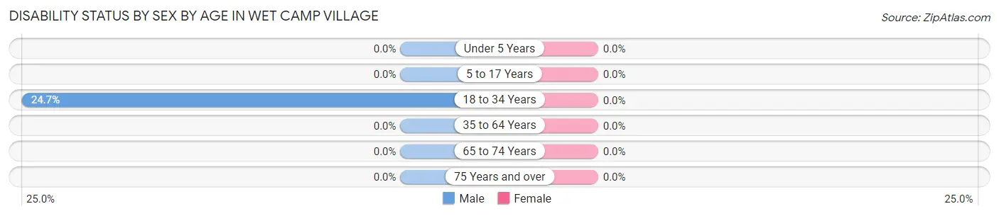 Disability Status by Sex by Age in Wet Camp Village