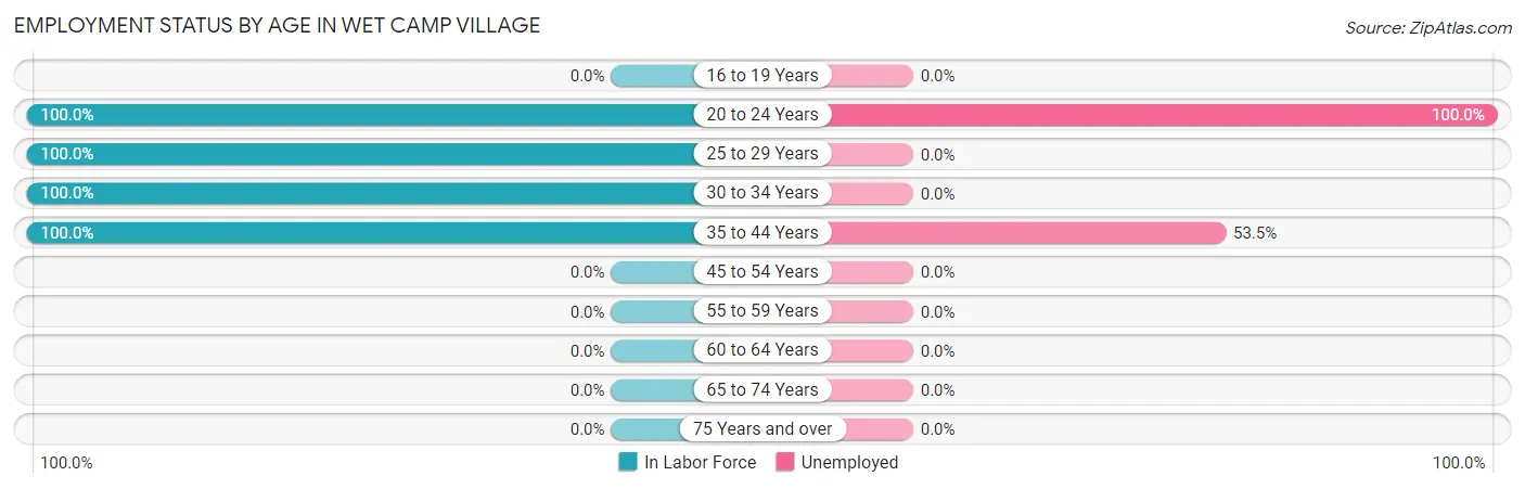 Employment Status by Age in Wet Camp Village