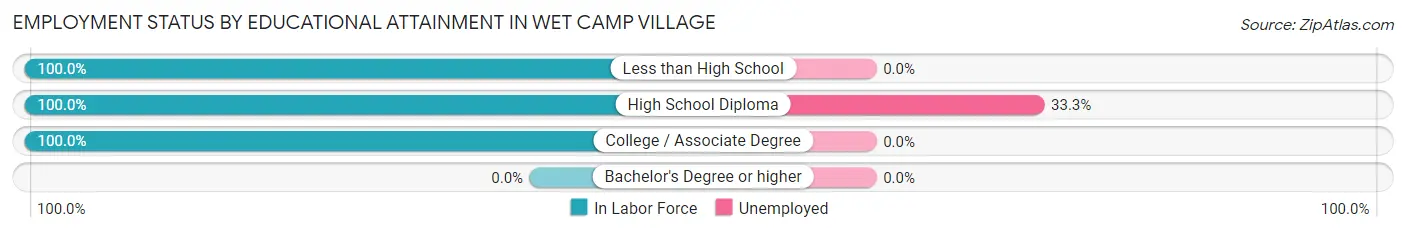 Employment Status by Educational Attainment in Wet Camp Village