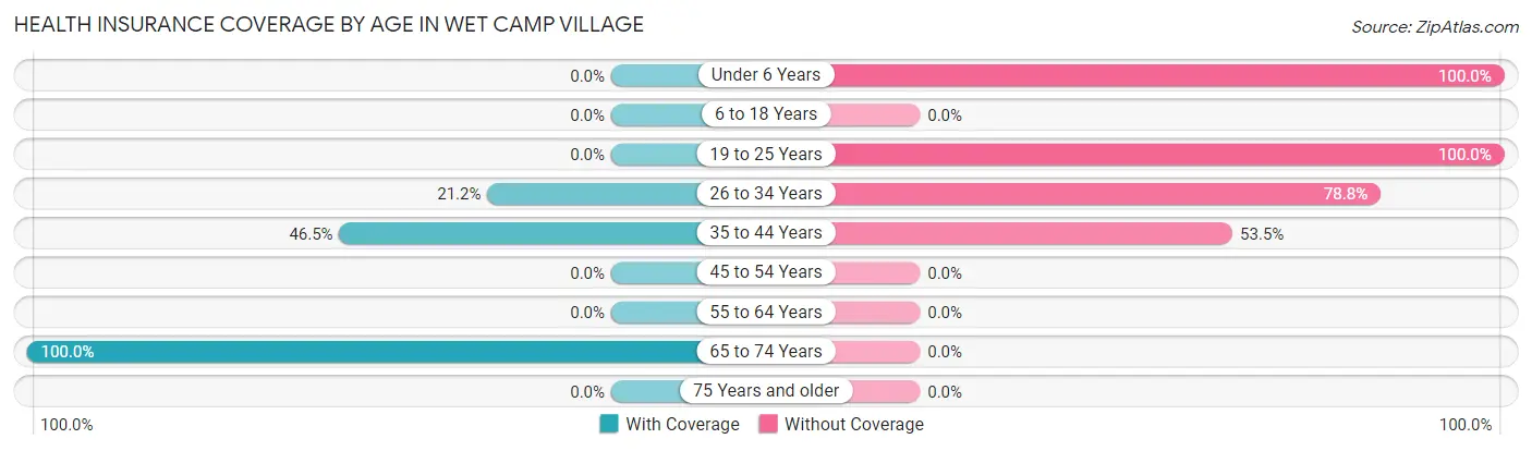 Health Insurance Coverage by Age in Wet Camp Village