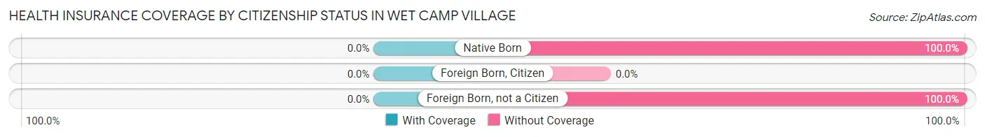 Health Insurance Coverage by Citizenship Status in Wet Camp Village
