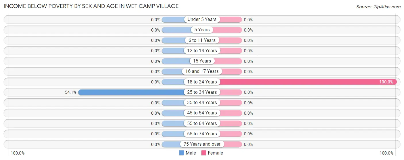 Income Below Poverty by Sex and Age in Wet Camp Village