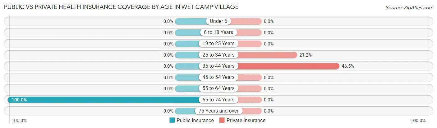 Public vs Private Health Insurance Coverage by Age in Wet Camp Village