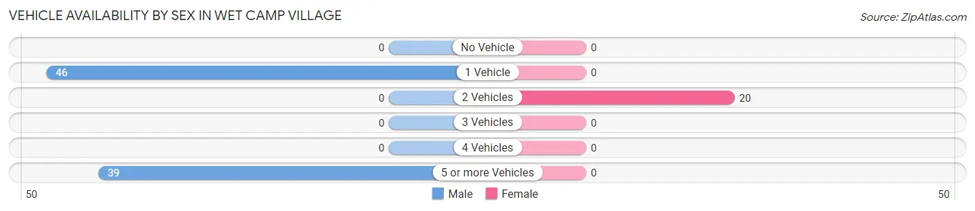 Vehicle Availability by Sex in Wet Camp Village
