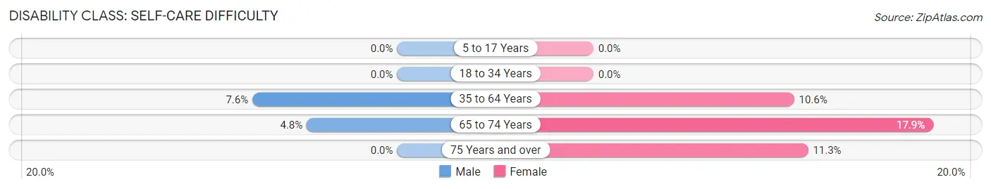 Disability in Whetstone: <span>Self-Care Difficulty</span>