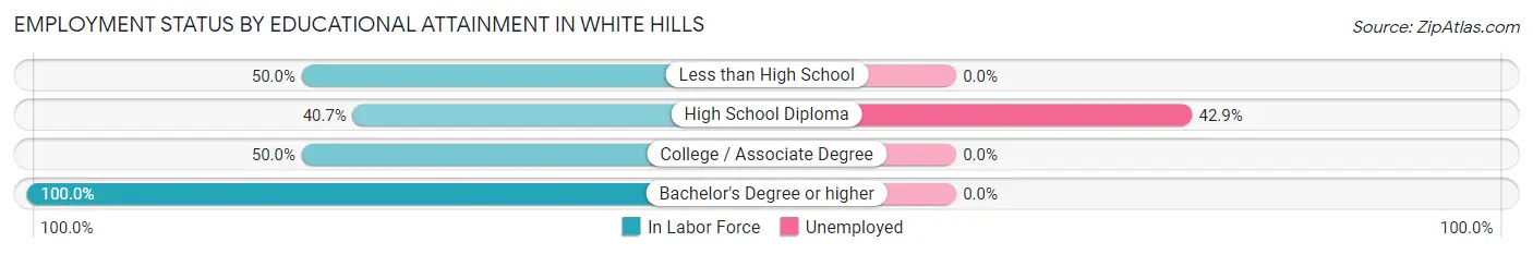 Employment Status by Educational Attainment in White Hills