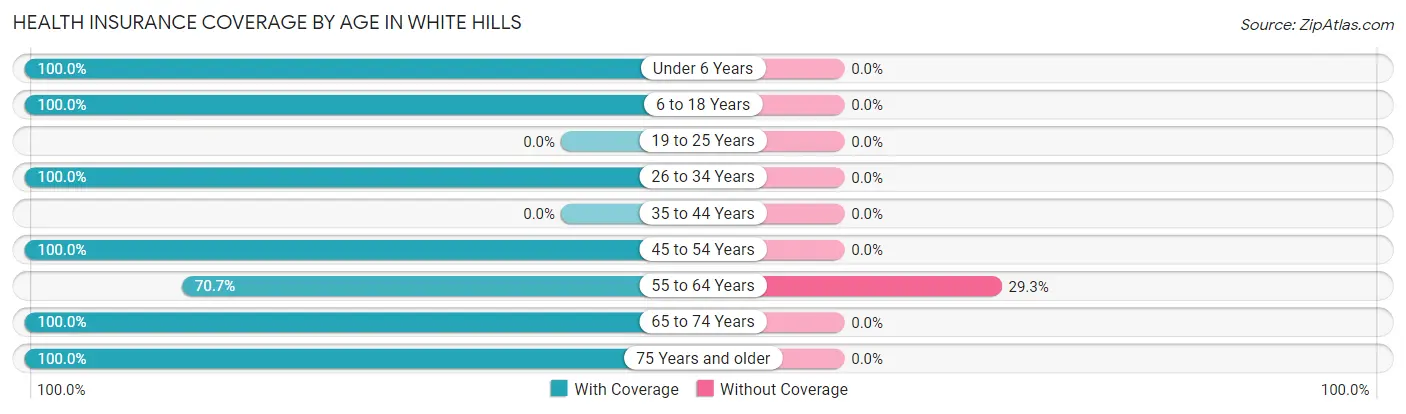 Health Insurance Coverage by Age in White Hills