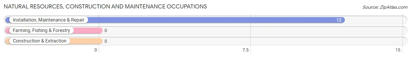 Natural Resources, Construction and Maintenance Occupations in White Hills