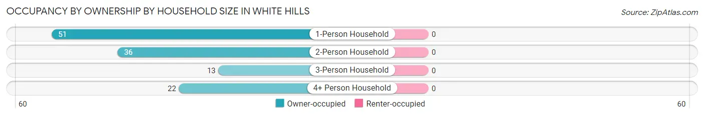 Occupancy by Ownership by Household Size in White Hills