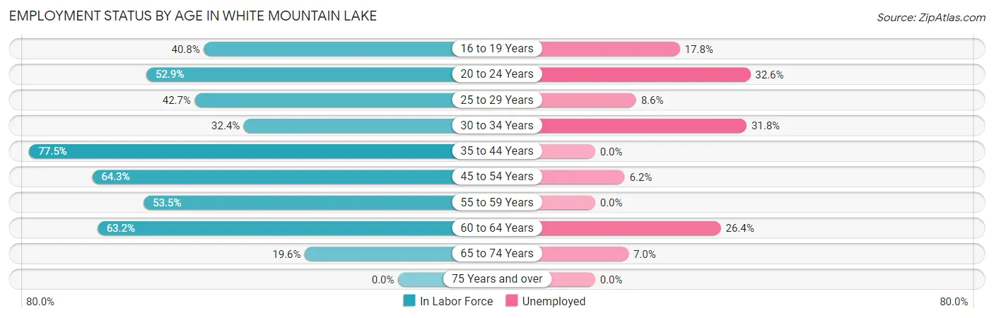 Employment Status by Age in White Mountain Lake