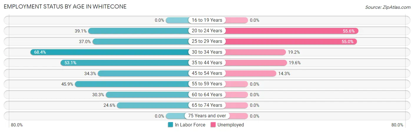 Employment Status by Age in Whitecone