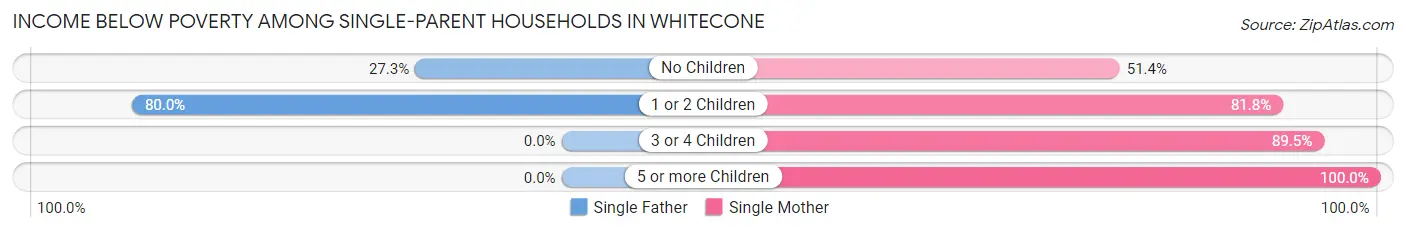 Income Below Poverty Among Single-Parent Households in Whitecone