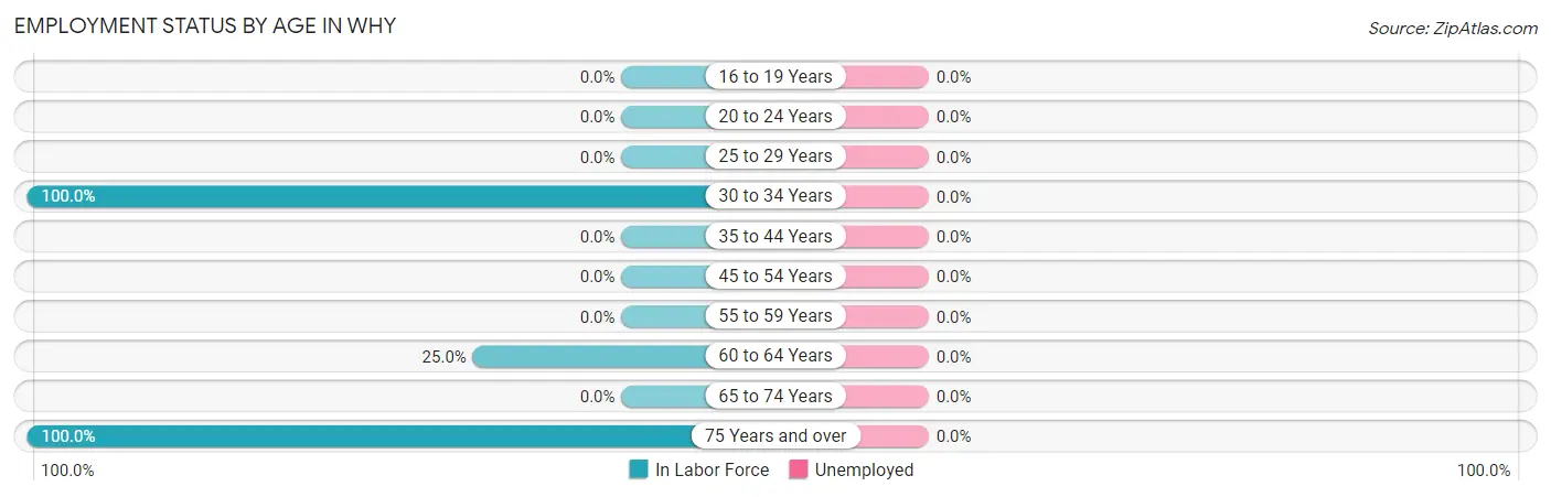 Employment Status by Age in Why