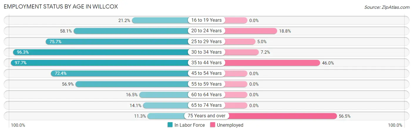 Employment Status by Age in Willcox