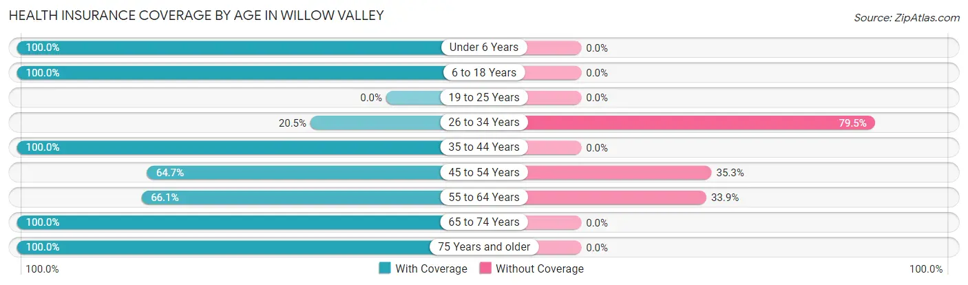 Health Insurance Coverage by Age in Willow Valley