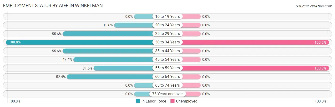 Employment Status by Age in Winkelman