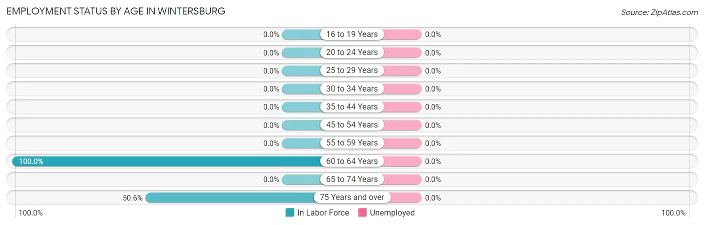 Employment Status by Age in Wintersburg