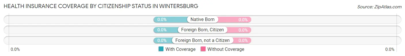 Health Insurance Coverage by Citizenship Status in Wintersburg